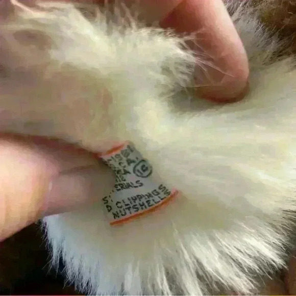 Vintage 1981 Dakin Bird Watchers American Regal Eagle Plush Stuffed Animal - Picture 7 of 8